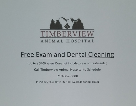 Timberview Animal Hospital Dental