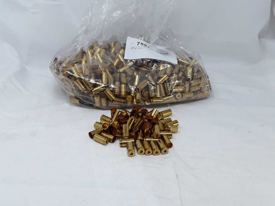 1 Bag of Winchester 40 S&W Unprimed Casings
