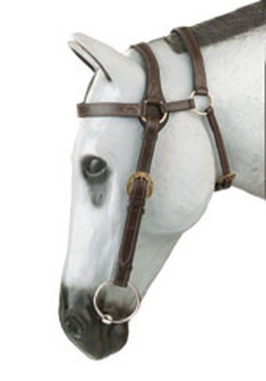 BRID 220BL EXTENDED HEAD BARCOO BRIDLE W/ REINS