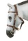 BRID 225BR-C LIGHTWEIGHT HALTER BRIDLE W/ REINS