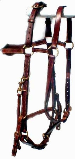 BRID 930BL-C-SS HALTER BRIDLE COMBO W/ REINS SS