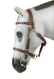 BRID 325BL-L LIGHTWEIGHT HALTER BRIDLE W/ REINS LG