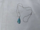 Sterling Silver Serpentine Chain & Turquoise Pend