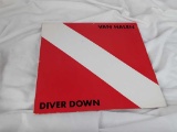 1982 VAN HALEN DIVER DOWN VINYL ALBUM