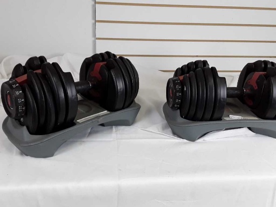 Set of Bowflex Weights