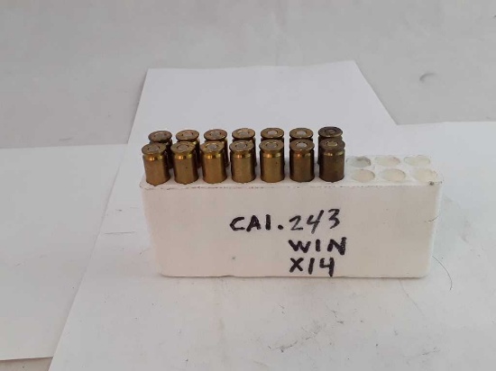 14 ROUNDS OF 243 CAL AMMO