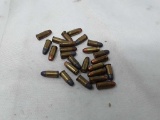 .32 CAL. LIVE AMMO