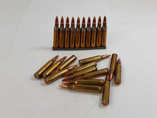 23 COUNT TW LL CAL .5.56 AMMO