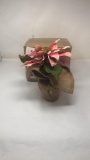 2 SMALL POTERRY BARN PINK POINSETTAS