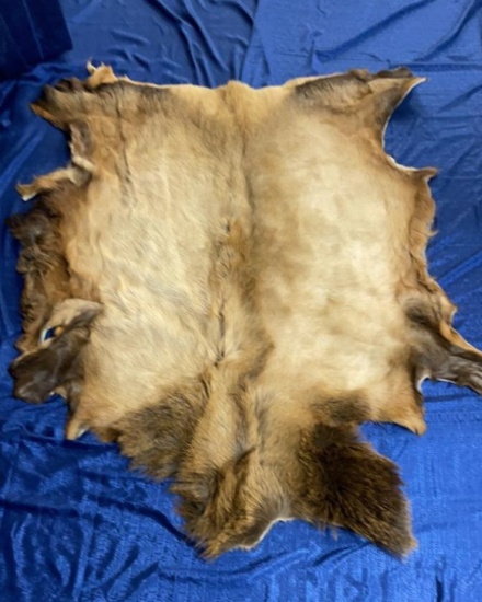 LARGE ELK PELT.