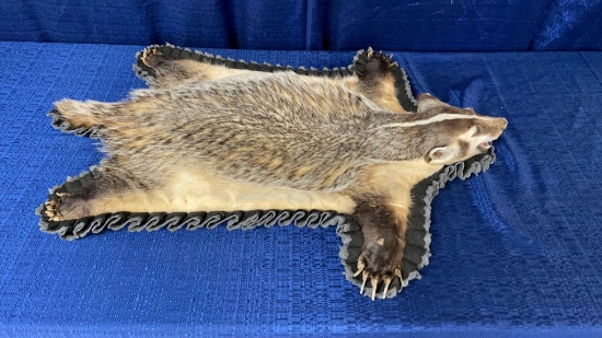 BADGER HANGING PELT.