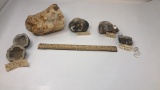 COLLECTION OF ROCKS, FOSSILS, MINERALS, & GEODES.