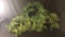 2) PRE-LIT GARLANDS