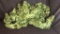 5) GARLAND