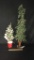2) PRE-LIT DECORATIVE TREES