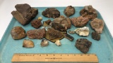 COLLECTION OF FOSSILS, ROCKS, STONES, & MINERALS