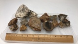 COLLECTION OF ROCKS, STONES, FOSSILS, & MINERALS