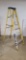 WERNER 6FT LADDER