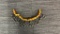 ANTIQUE & VTG INDIA RUPEE NECKLACE