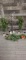 CHRISTMAS FOLIAGE DECOR