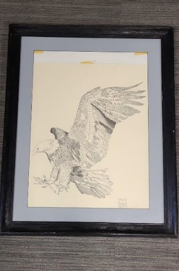 EAGLE DETAILED PENCIL SKETCH