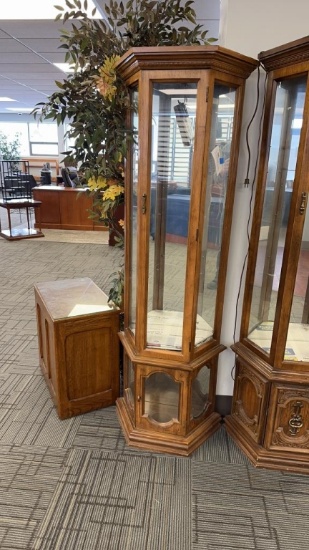 LITED 3-SIDED CURIO CABINET