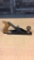 ANTIQUE STANLEY NO. 40 WOOD PLANE