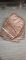 4) LARGE BROWN TARPS