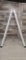 GORILLA 10' MULTI-POSITION LADDER