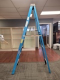 WERNER 8' LADDER