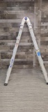 WERNER 21' MULTI-POSITION LADDER
