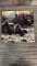 VINYL RECORD: R.E.M MURMUR