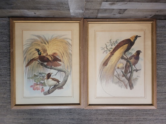 ART - LITHO PRINT