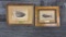 GREEN RIVER SHALE FOSSILS FROM FOSSIL BUTTE WY