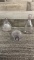 ANTIQUE GLASS NURSING BOTTLES