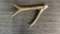 ENGRAVED ANTLER ART