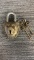 BRASS LION HEAD PADLOCK