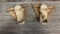 ANTIQUE CANVAS FINS