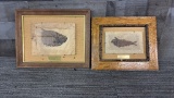 GREEN RIVER SHALE FOSSILS FROM FOSSIL BUTTE WY