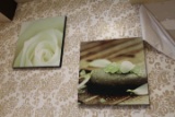 Lot of 2 Wrapped Canvas Photos 24