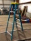 Werner 6' Fiberglass Step Ladder, 250lb Capacity