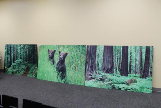 Lot of 3 Large Classroom Art / Pictures 2 Forest and 1 Bear Cubs 72" x 48", Set of 3