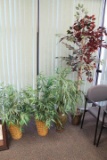 Lot of 4 Artificial Plants