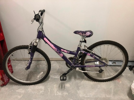 Youth Girls Mountain Bicycle by Trek, Model: MT 220