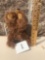 German Steiff Bear, Jointed, w/ Tags 9