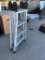 Westway Adjustable Ladder