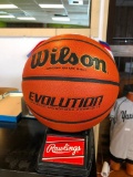 Wilson Basketball w/ Stand