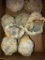 Lot of 8 Nice Large Geodes