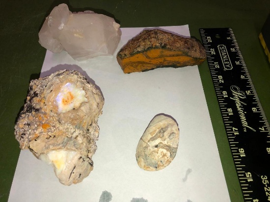 Spencer Opal, Quartz Matrix, Rock Clam