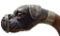 Ornate Figural Dog Cane with Silver Muzzle, Ears, Eye Brows and Collar, Glass Eyses